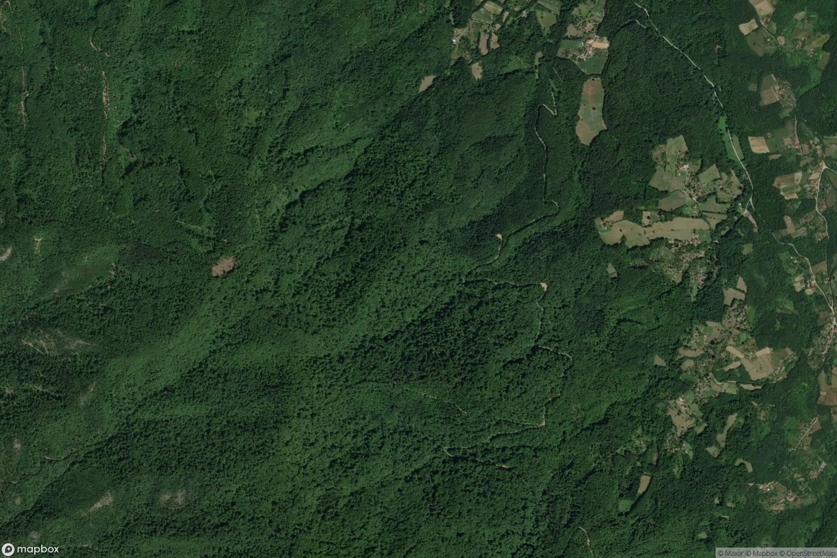 Goč